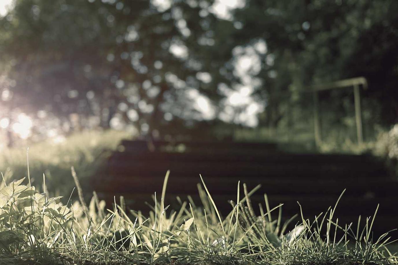 Modi aperiam possimus et