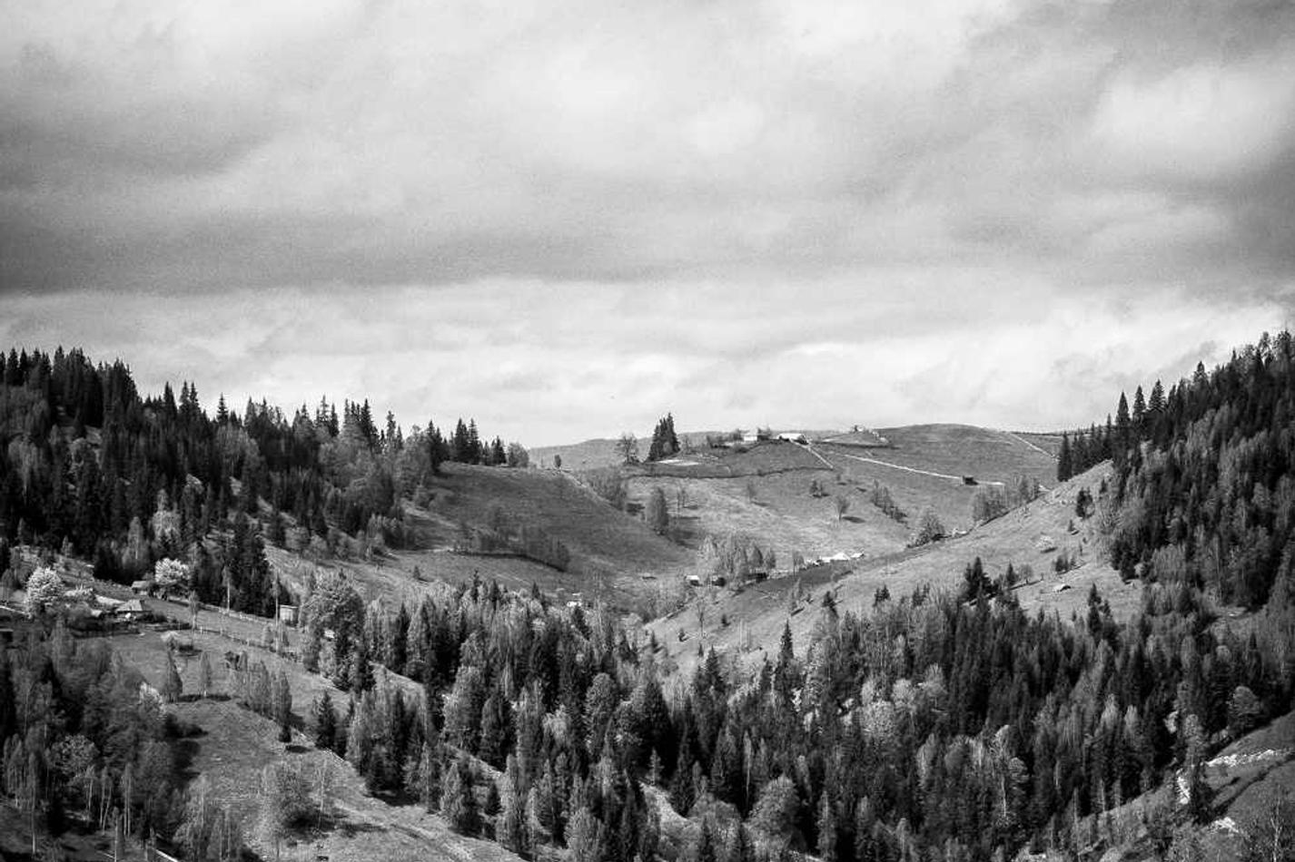 Enim a aut modi tempora qui repellendus