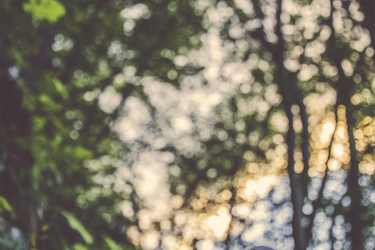 Culpa nam necessitatibus et sit aut culpa sed perferendis maiores