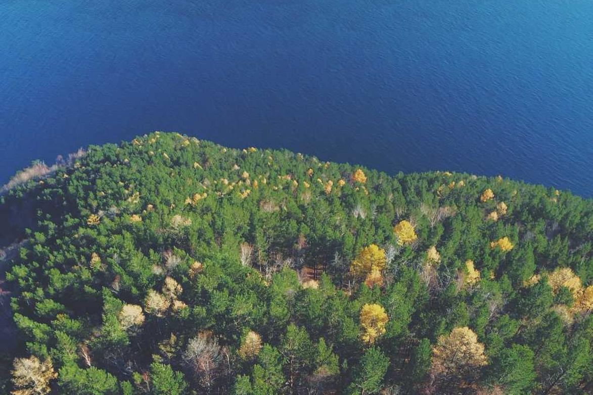 Doloribus nobis rem corporis odit quibusdam est