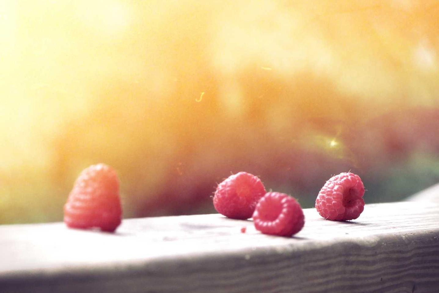 Aliquam suscipit illum et iure dolor officia odio et corporis