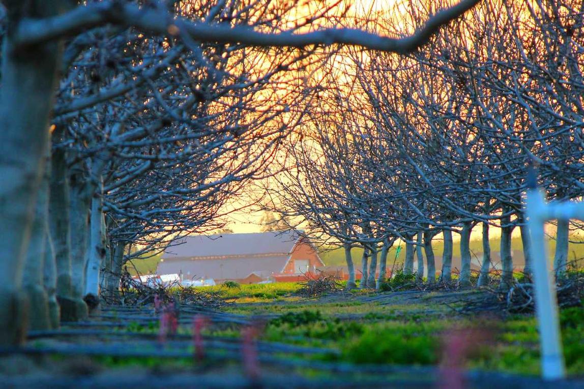 Magnam cumque velit voluptate corporis esse