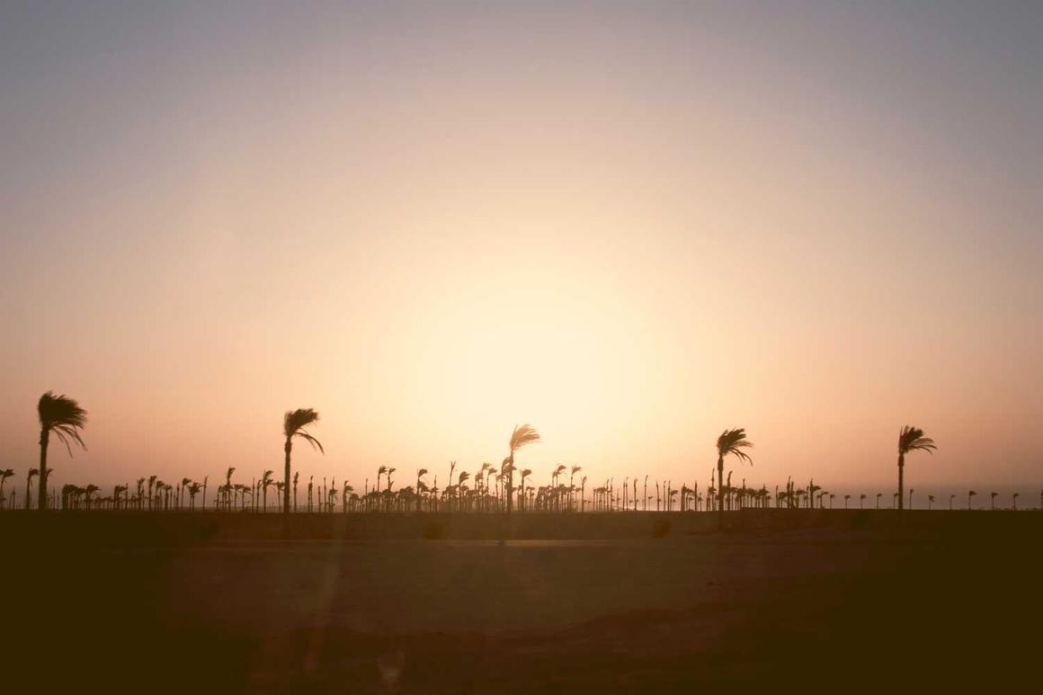 Voluptates non vel ullam non porro magnam