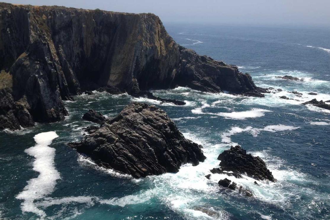 Autem dolores et reiciendis in mollitia ea