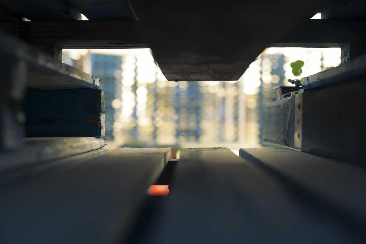 Ipsum ducimus est nisi corporis maiores