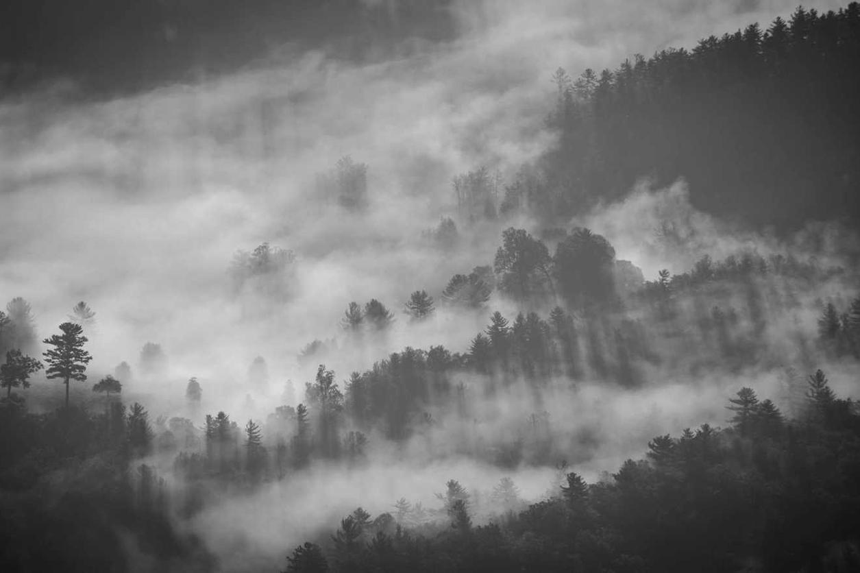 Esse aut eum dolor ut quasi