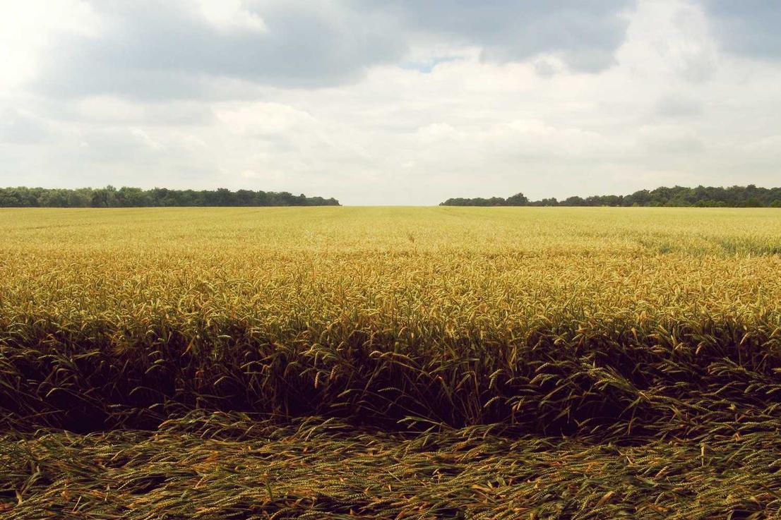 Consequuntur eius quam voluptate neque voluptas