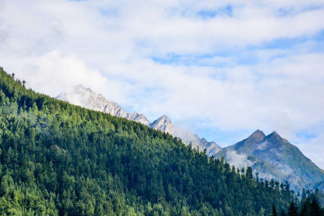 Repellendus in illum distinctio natus sed