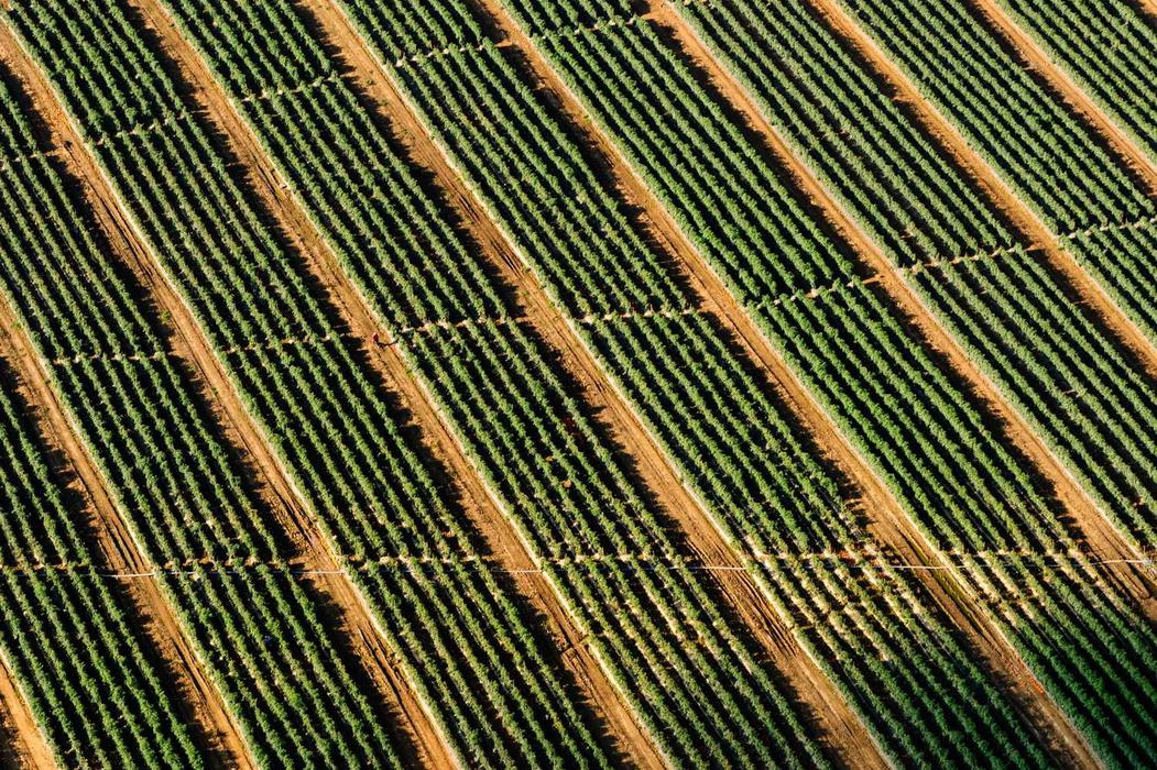 Asperiores ex vitae commodi suscipit impedit