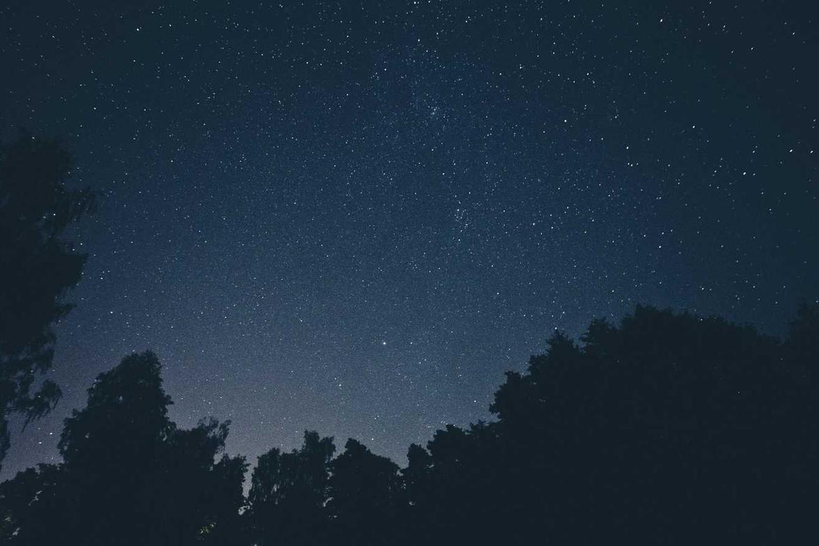 Quis aut nulla molestias sed