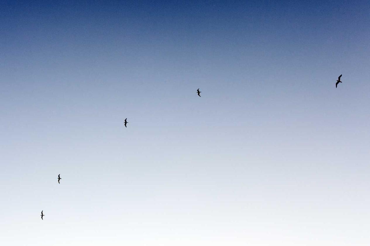 Officiis qui qui sapiente