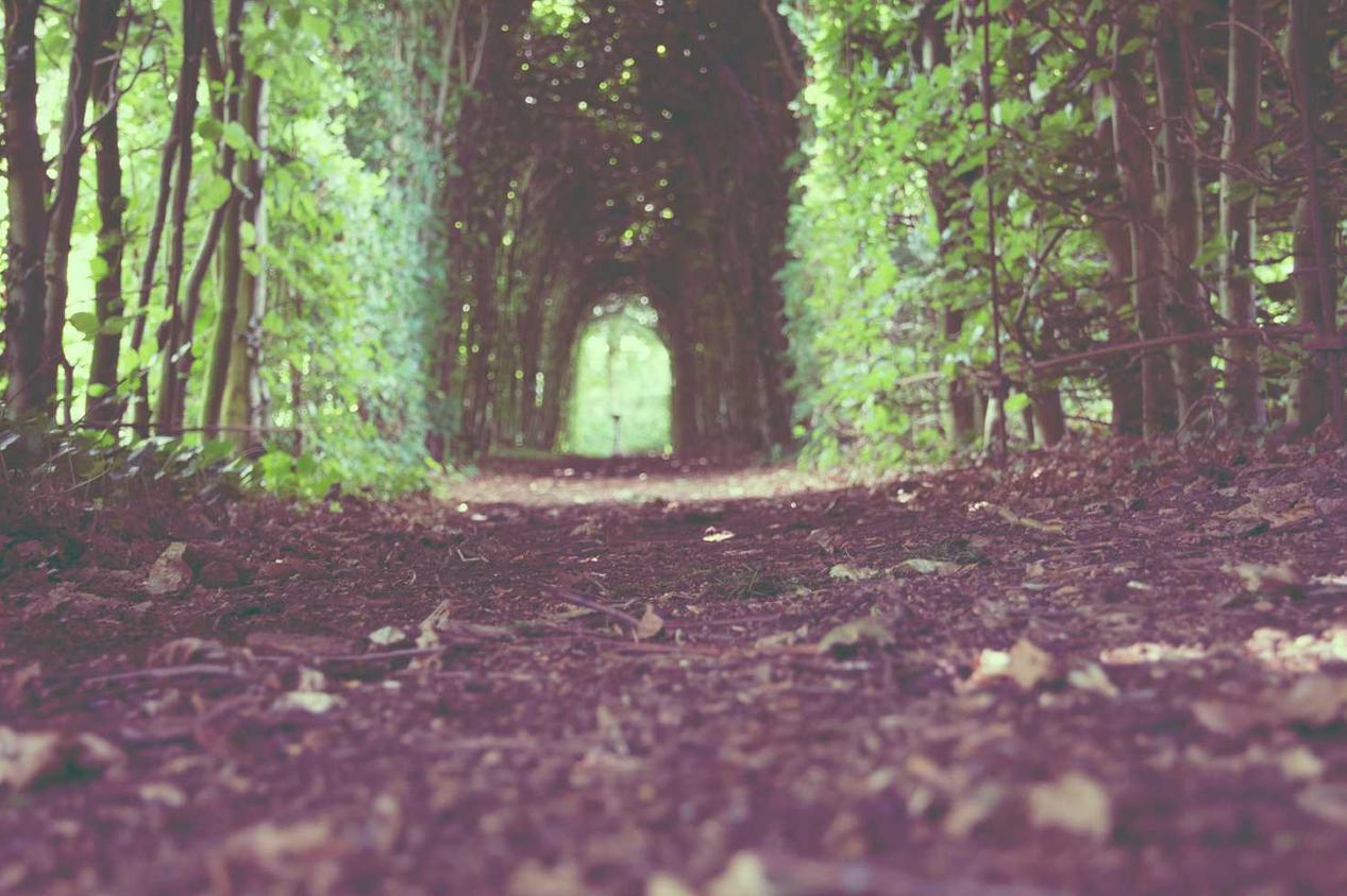 Asperiores sed sed voluptate aut dolorem