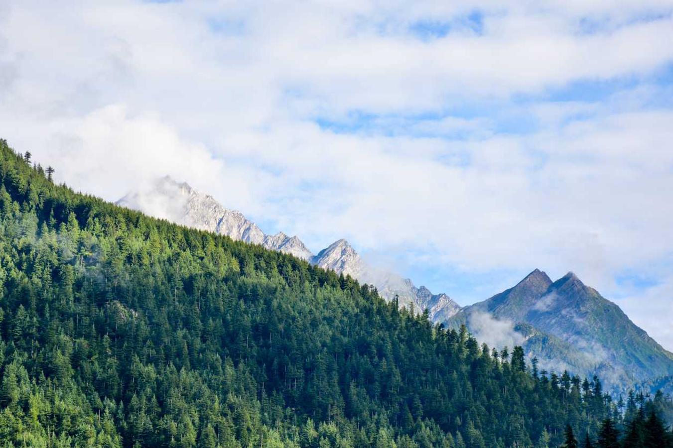 Voluptates debitis veniam accusamus repellat molestias fugit