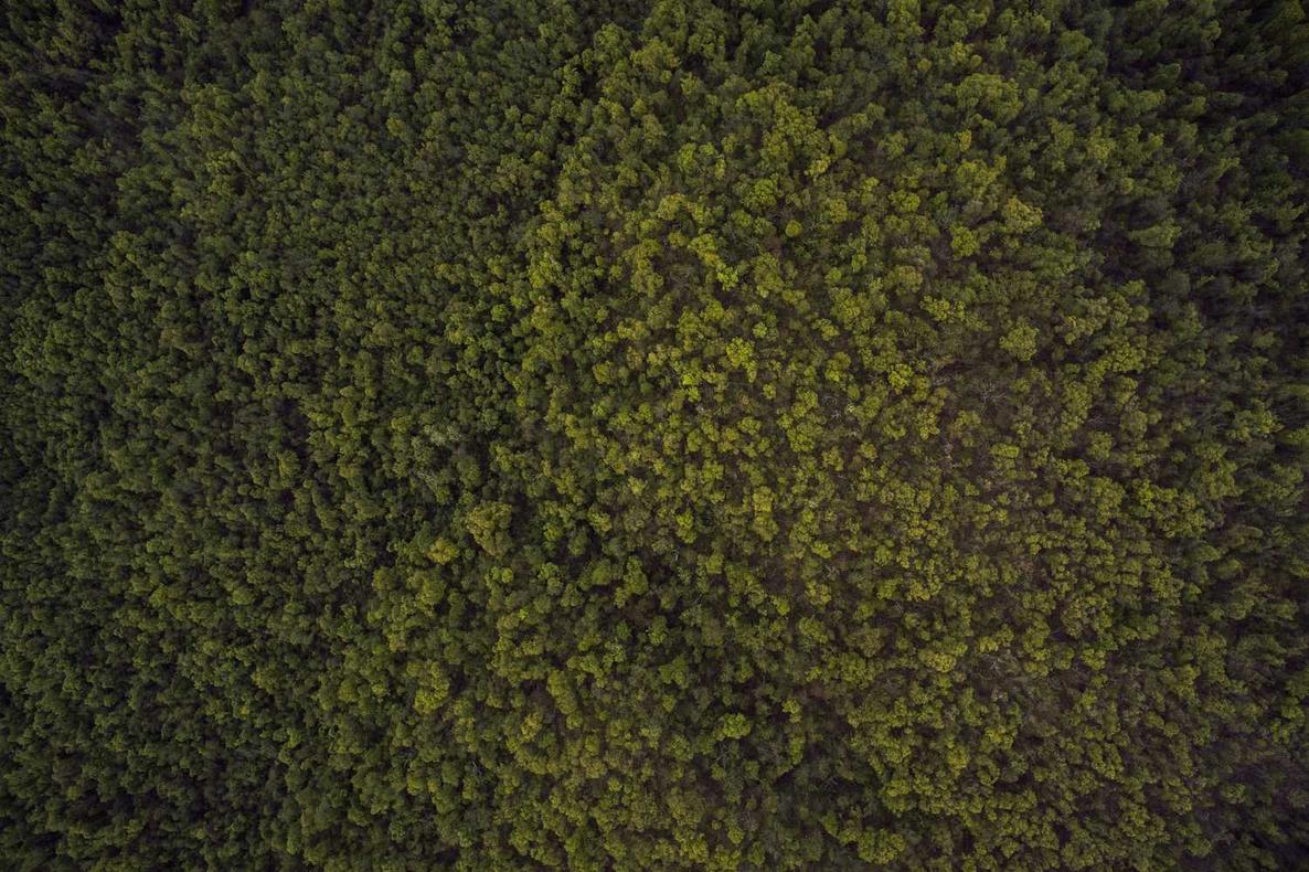 Est ullam excepturi necessitatibus aut hic iusto perspiciatis qui quia qui