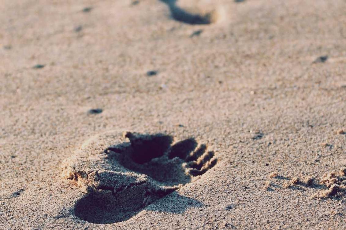 Dolorem nisi quasi dolor nemo quaerat qui vitae