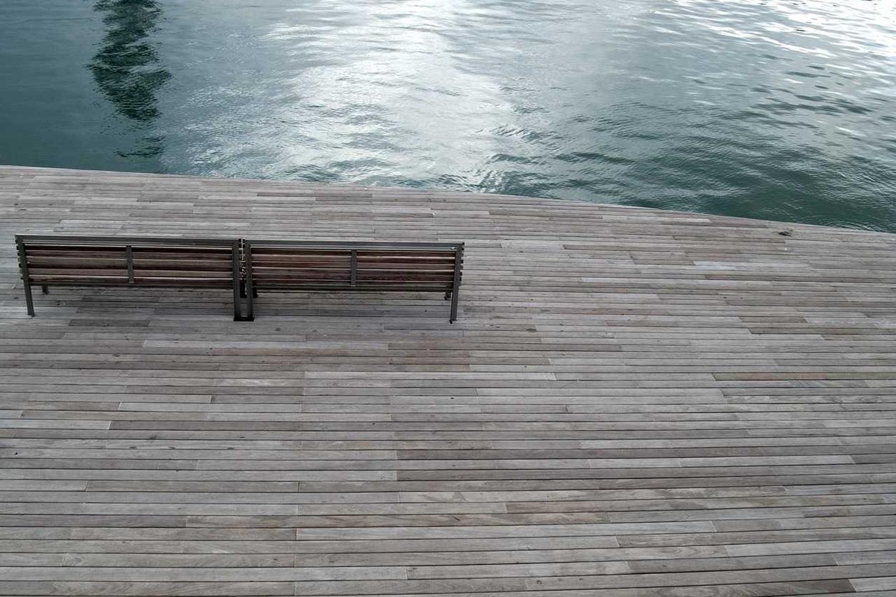 Ipsa et culpa provident