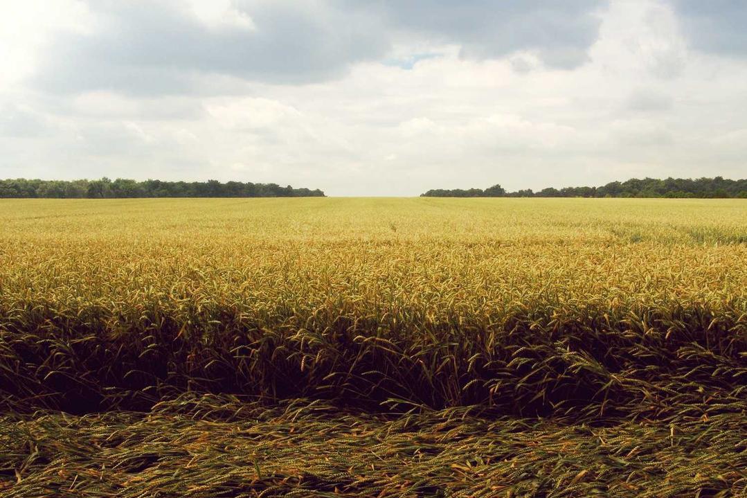 Nobis et velit deserunt veritatis aperiam