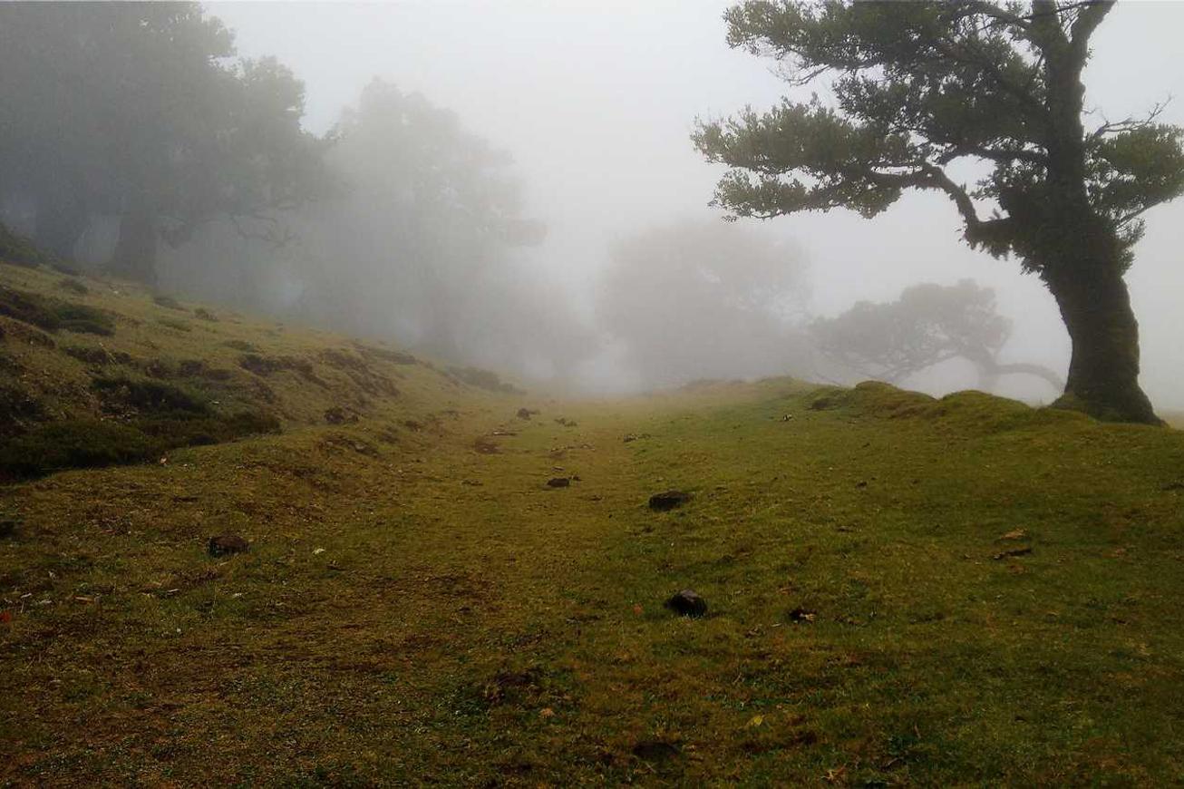 Unde consectetur ea et