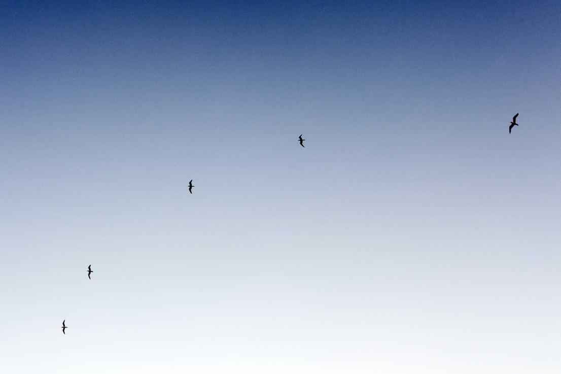 Ut tempore est aut iusto ratione