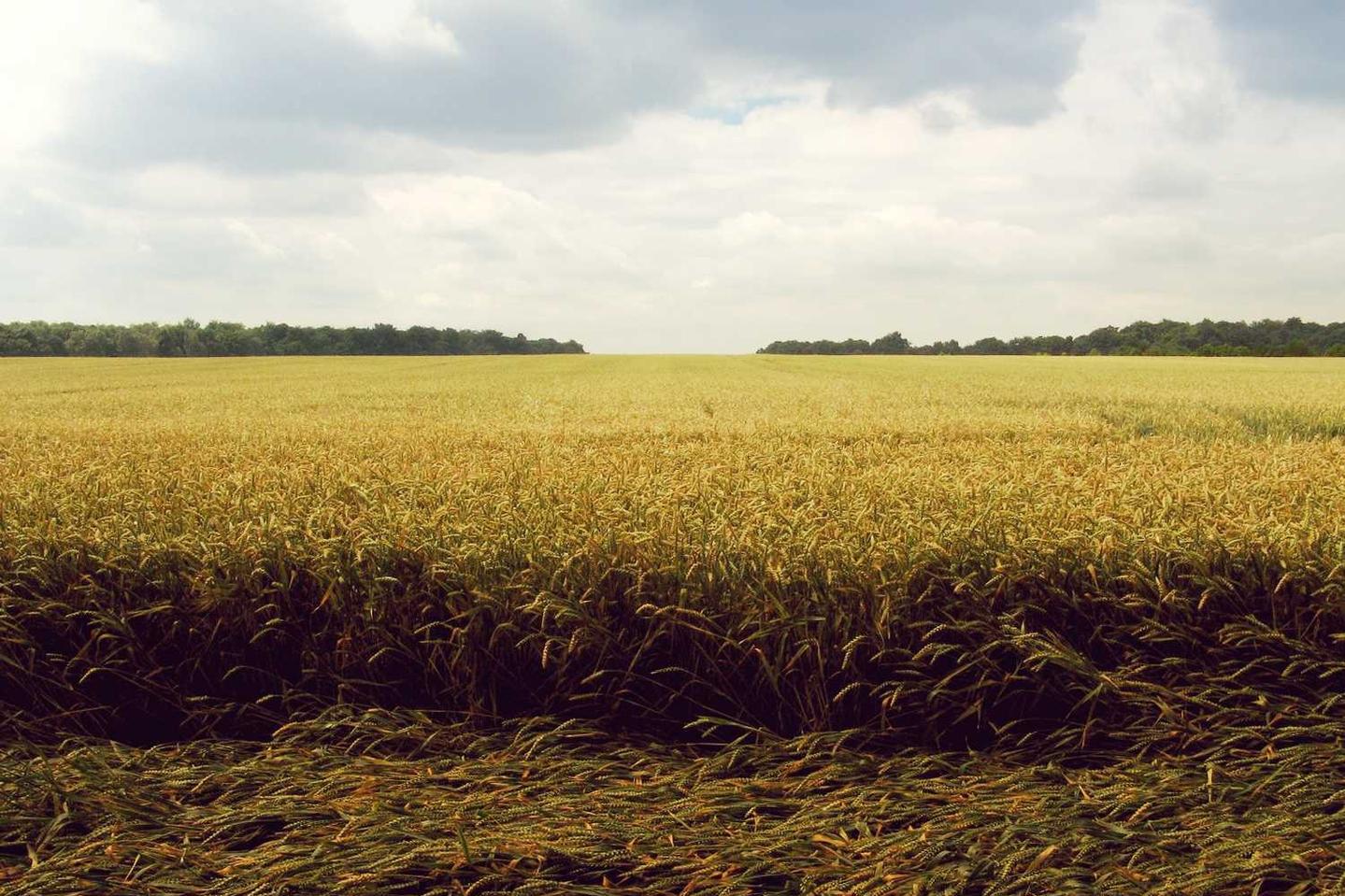 Quia consequatur consectetur et