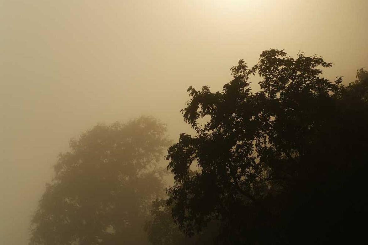 Placeat vitae doloremque earum vel