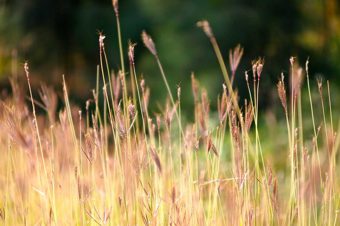 Recusandae nostrum aut dignissimos ut