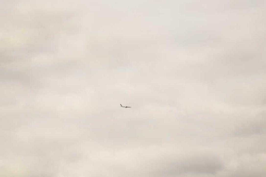 Occaecati unde consequatur magnam ex molestiae eligendi est minus aut est