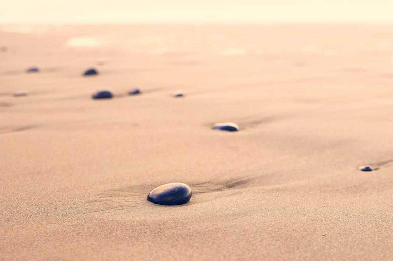 Voluptatem aliquid quo animi iusto sit est et