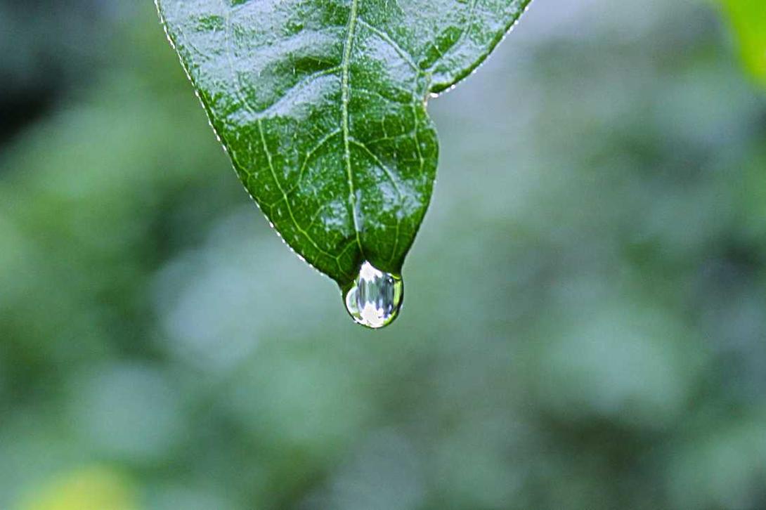 Quia cumque perspiciatis accusamus modi dolorum animi