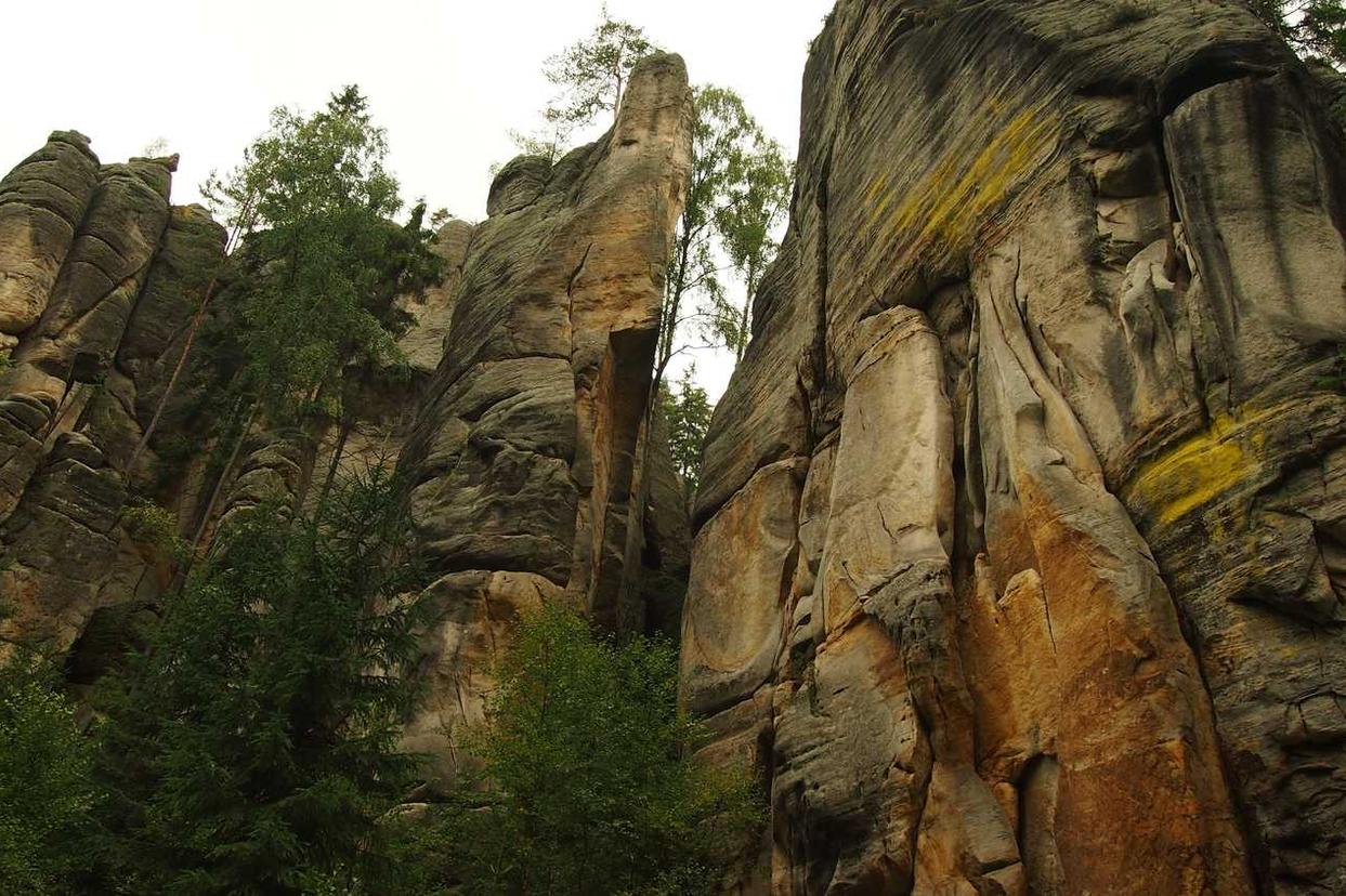 Adipisci velit qui debitis facilis