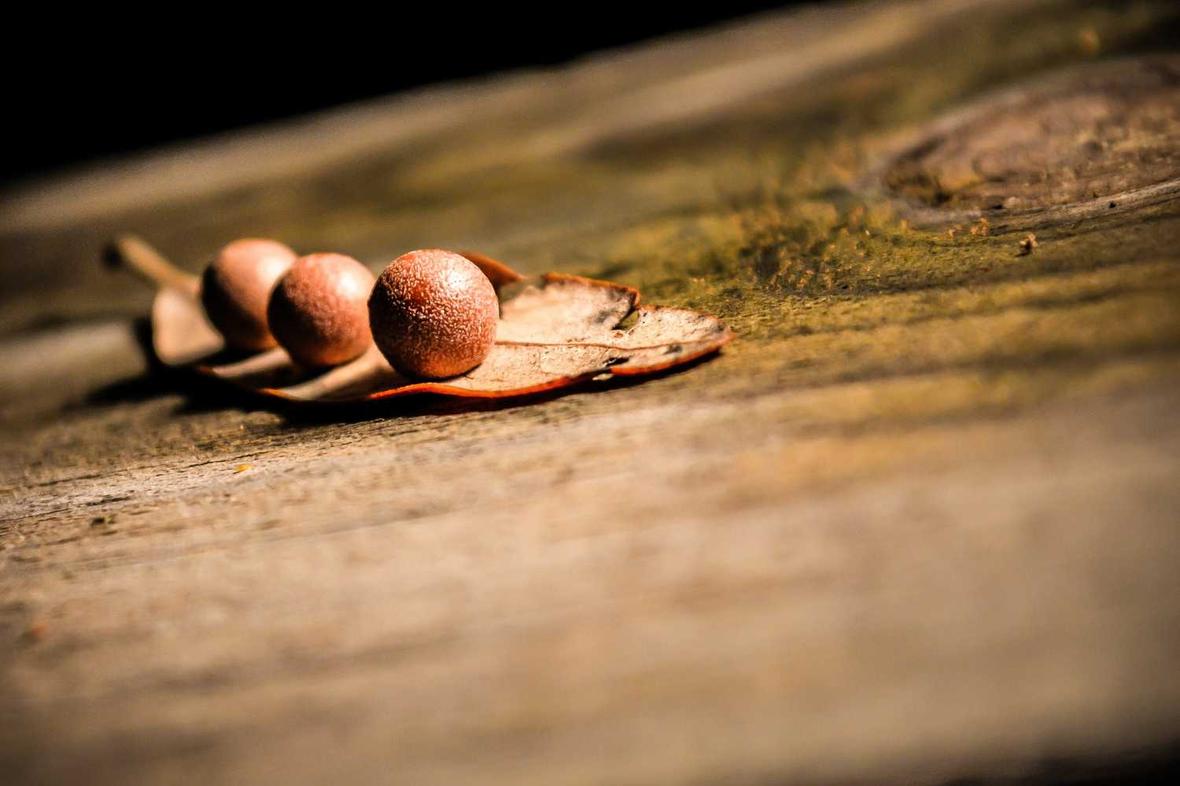 Sunt nobis dolor sit assumenda exercitationem et quo ipsum ad