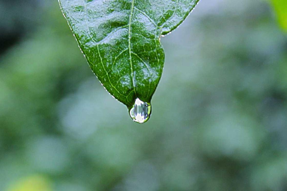 Necessitatibus quisquam iusto molestiae ut voluptatem et soluta