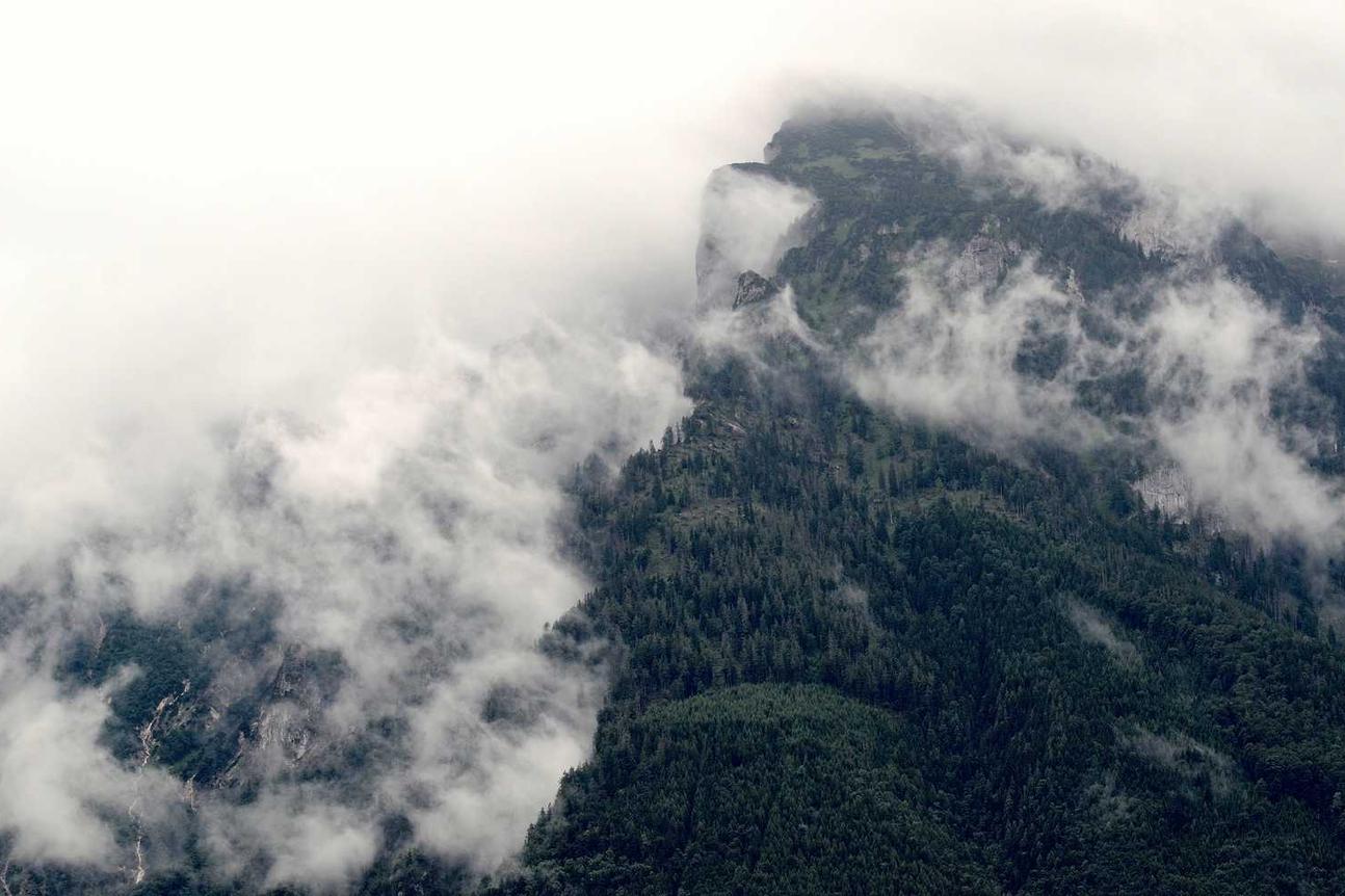 Qui ut magni qui nulla maxime