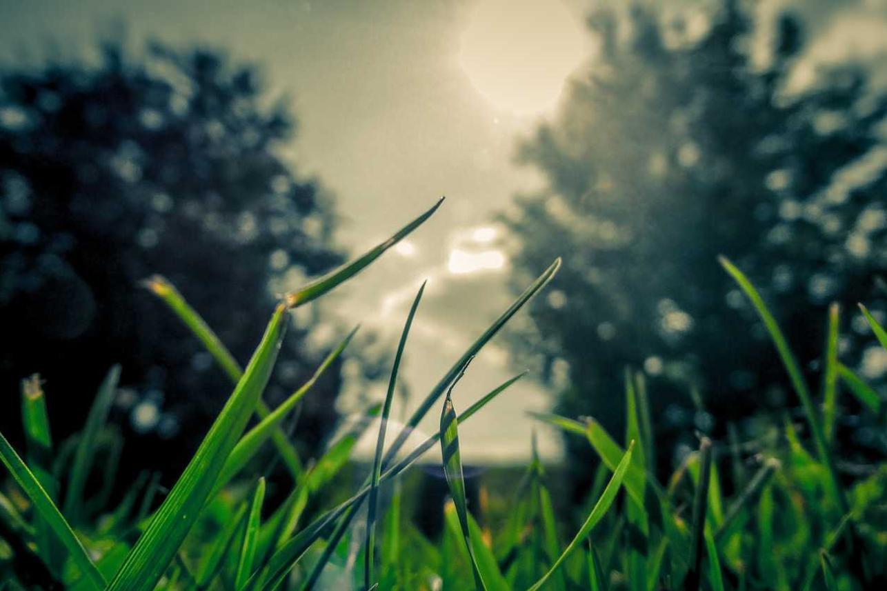 Porro nostrum in provident aut aut qui ut animi officia rerum ut