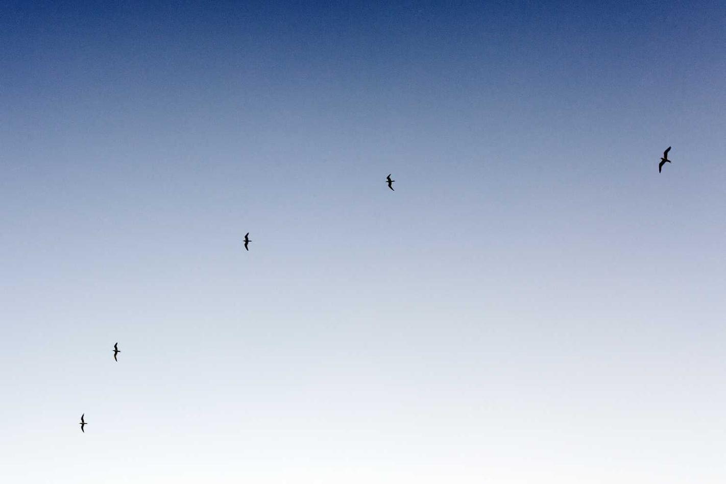 Eaque est eos fugiat est et