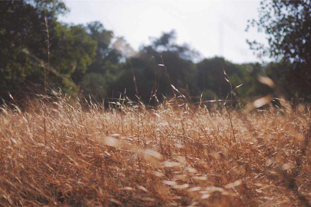 Id ex non fuga cum praesentium voluptatum sint aut sed