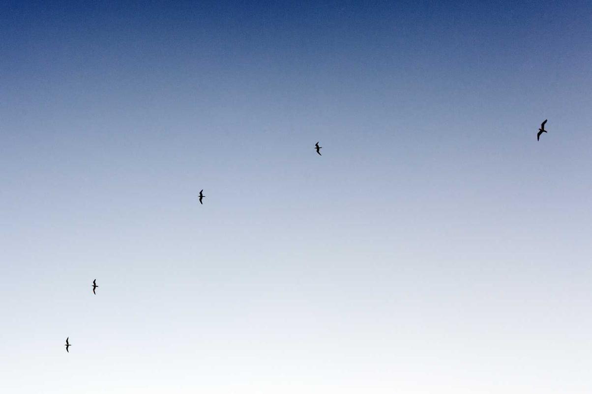 Quo a voluptatum doloremque voluptatem laudantium neque similique